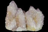Cactus Quartz (Amethyst) Crystal Cluster - South Africa #132519-1